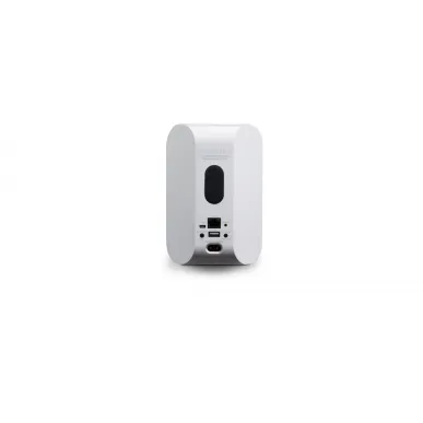 Умная колонка Bluesound PULSE FLEX 2i, white